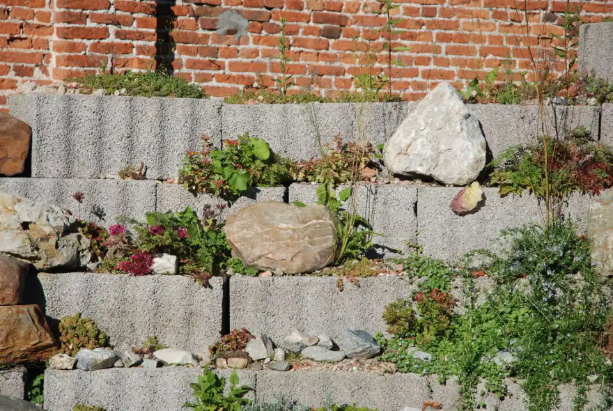 Terraced concrete block retaining wall planted with groundcover